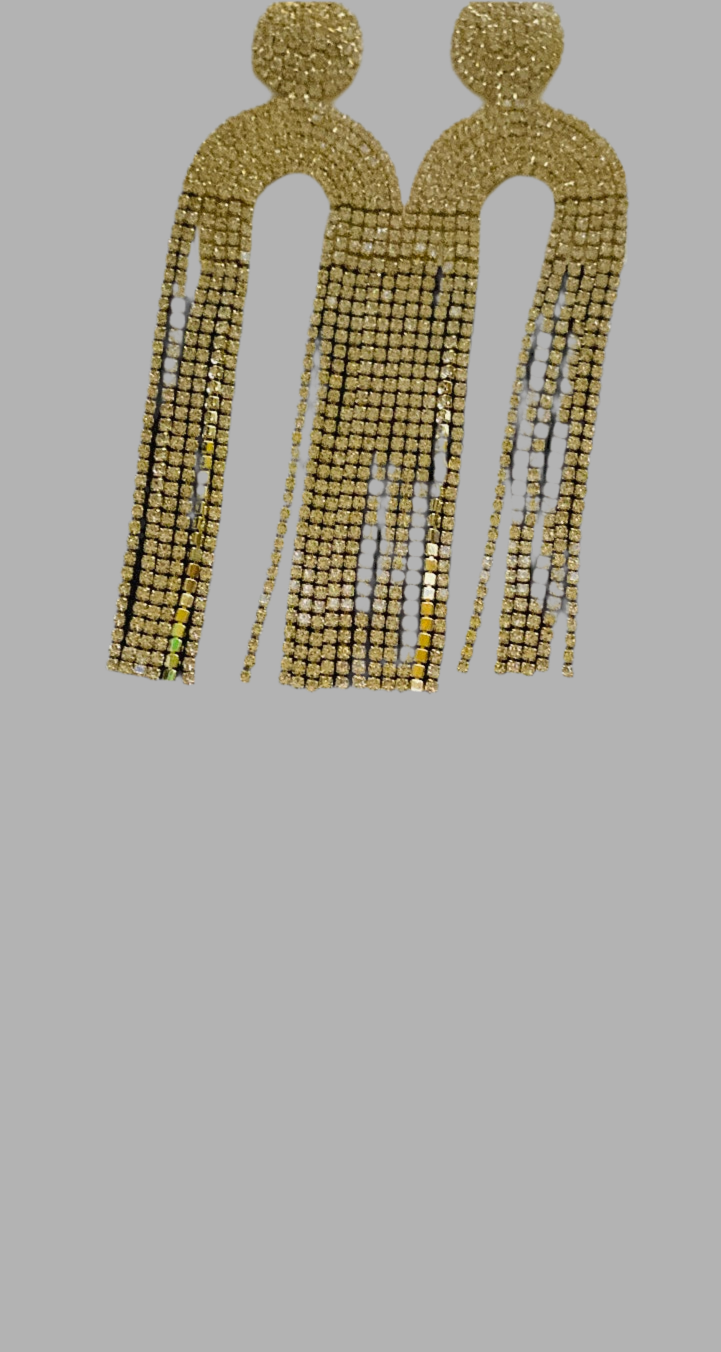 Shake your shimmy Earrings