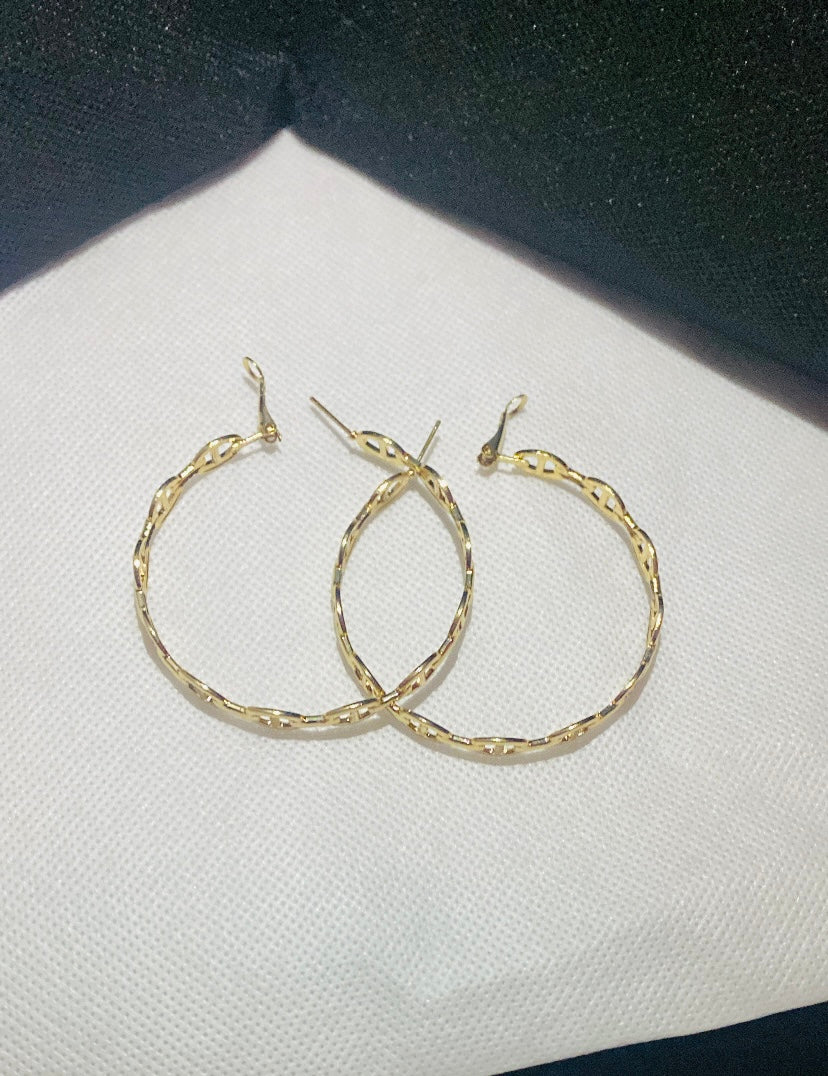 Forever linked Earrings